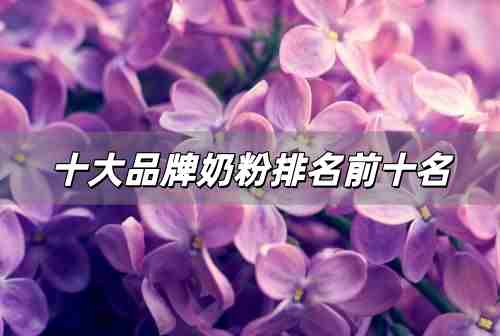 十大品牌奶粉排名前十名 十大公認最好的奶粉嬰幼兒品牌