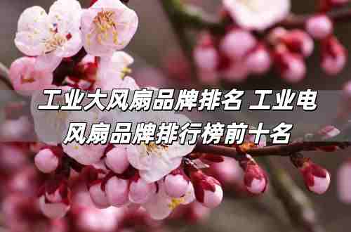 工業(yè)大風(fēng)扇品牌排名 工業(yè)電風(fēng)扇品牌排行榜前十名